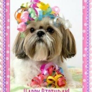 Meet your Posher, Jane